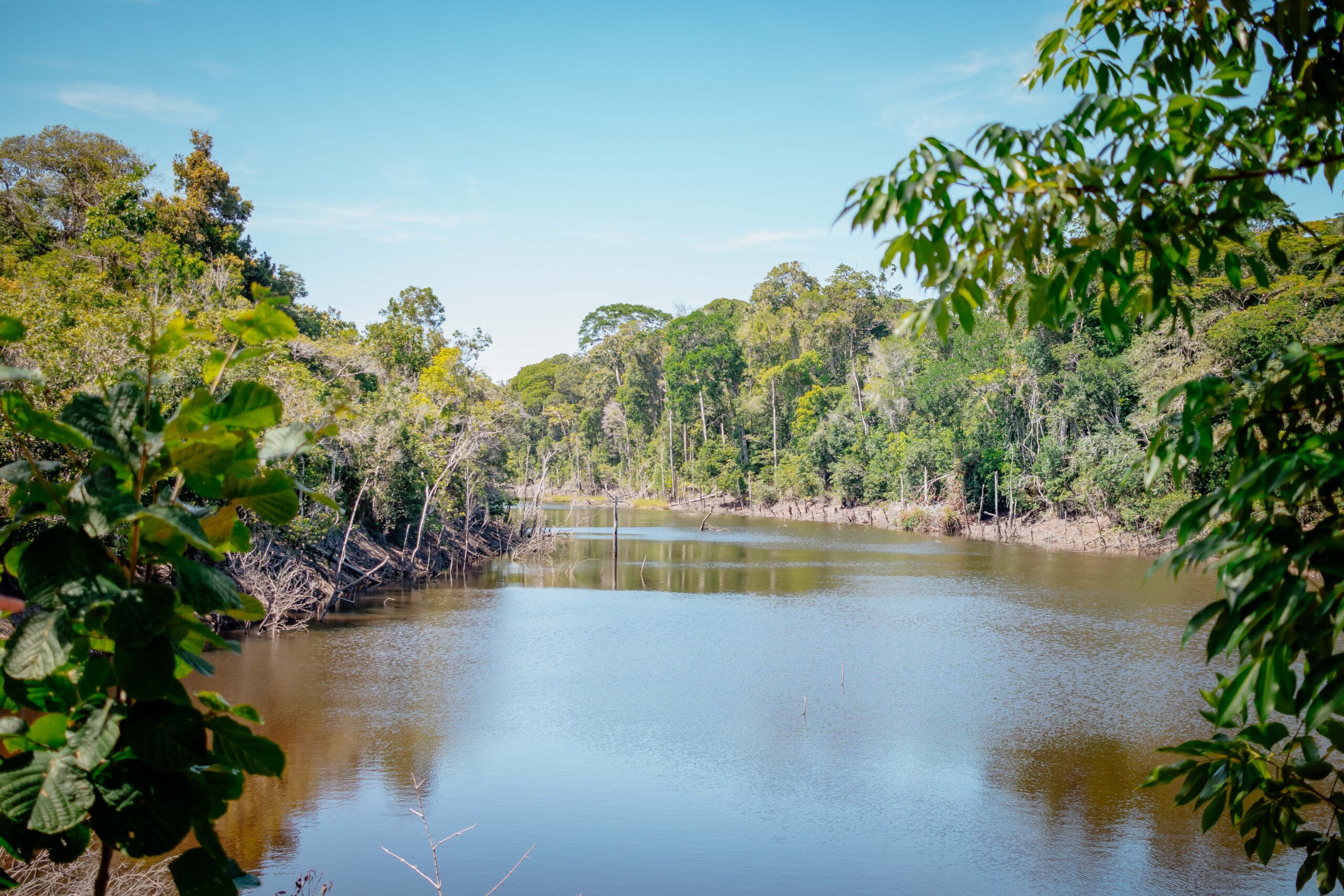 Parque Nacional do Descobrimento em prado